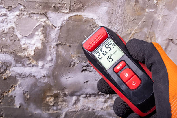 Certified Mold Removal in Mount Sterling, IL